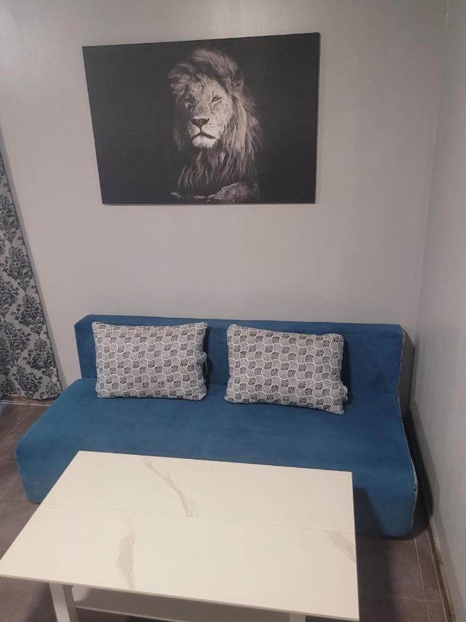 Maxi Homes ソフィア エクステリア 写真